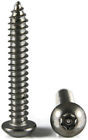 Stainless Steel Tamper Proof Security Torx Screw #8 x 1" (4 Pack)